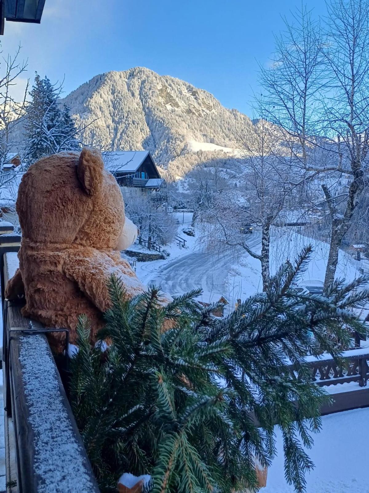 Chalet Appart'Hotel L'Eau Vive Saint-Nicolas-la-Chapelle  Kültér fotó